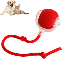 360 Smart Automatic Rolling Pet Ball