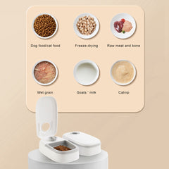 Automatic Pet Feeder Smart Food Dispenser For Cats Dogs T