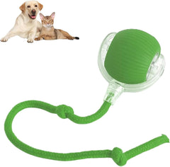 360 Smart Automatic Rolling Pet Ball