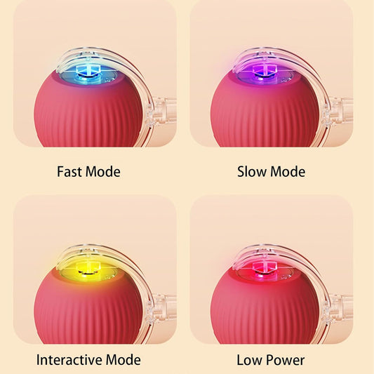 360  Smart Automatic Rolling Pet Ball