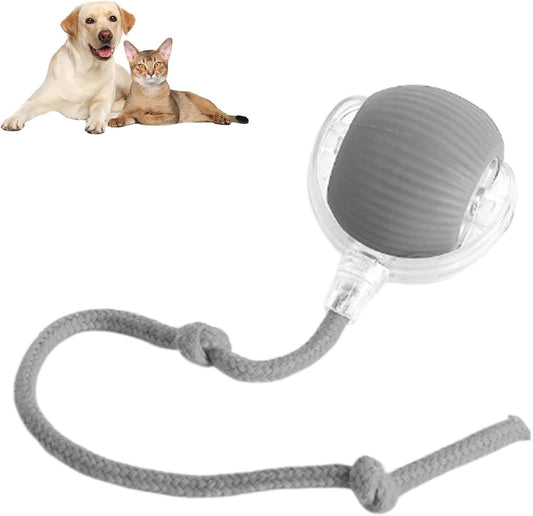 360  Smart Automatic Rolling Pet Ball